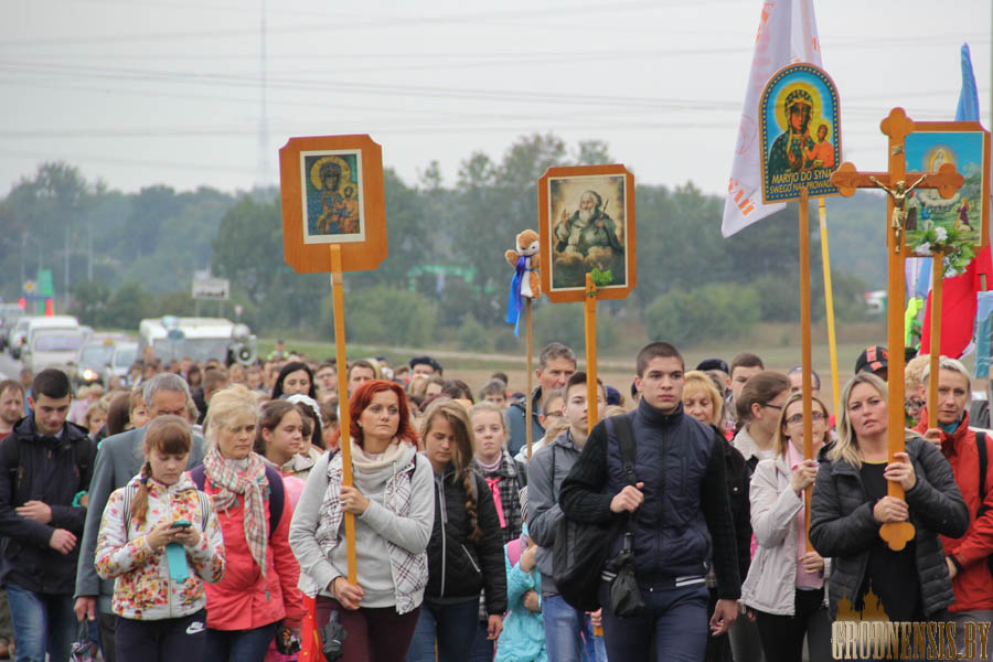 kopcewka p 2