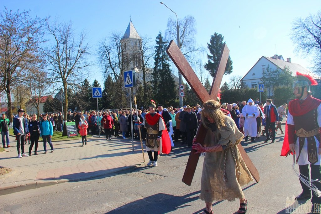 wb kryzowy 31