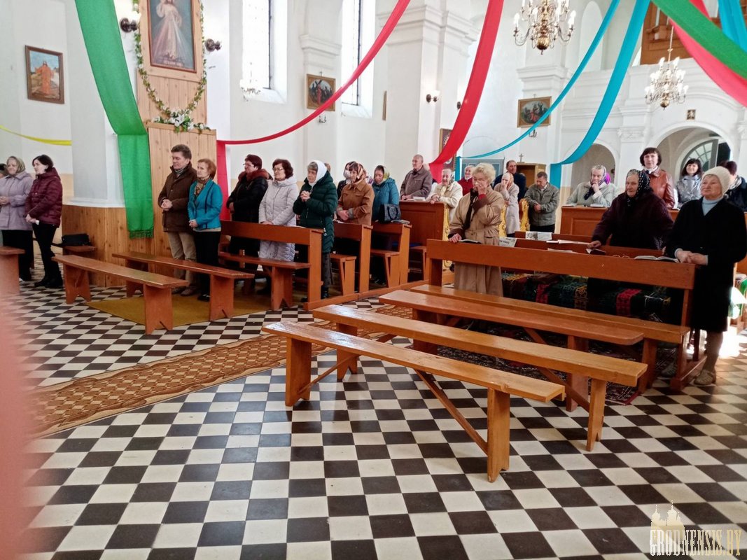 ragotna 24