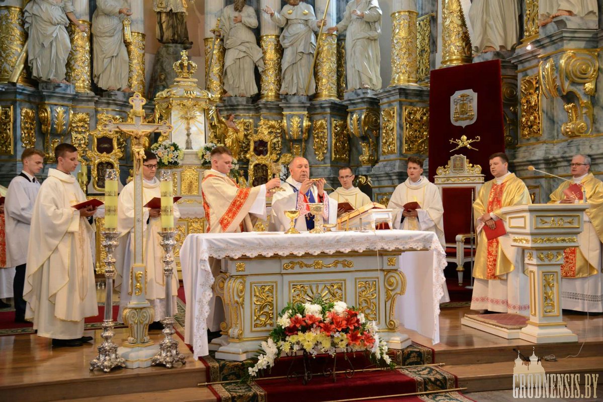 pasveczanni 47