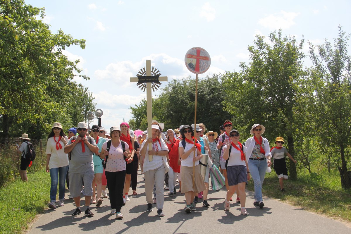piligrimka naumowicze 63