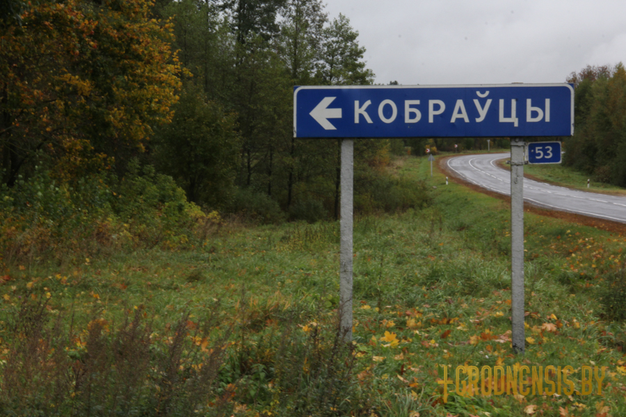 нэлі 3