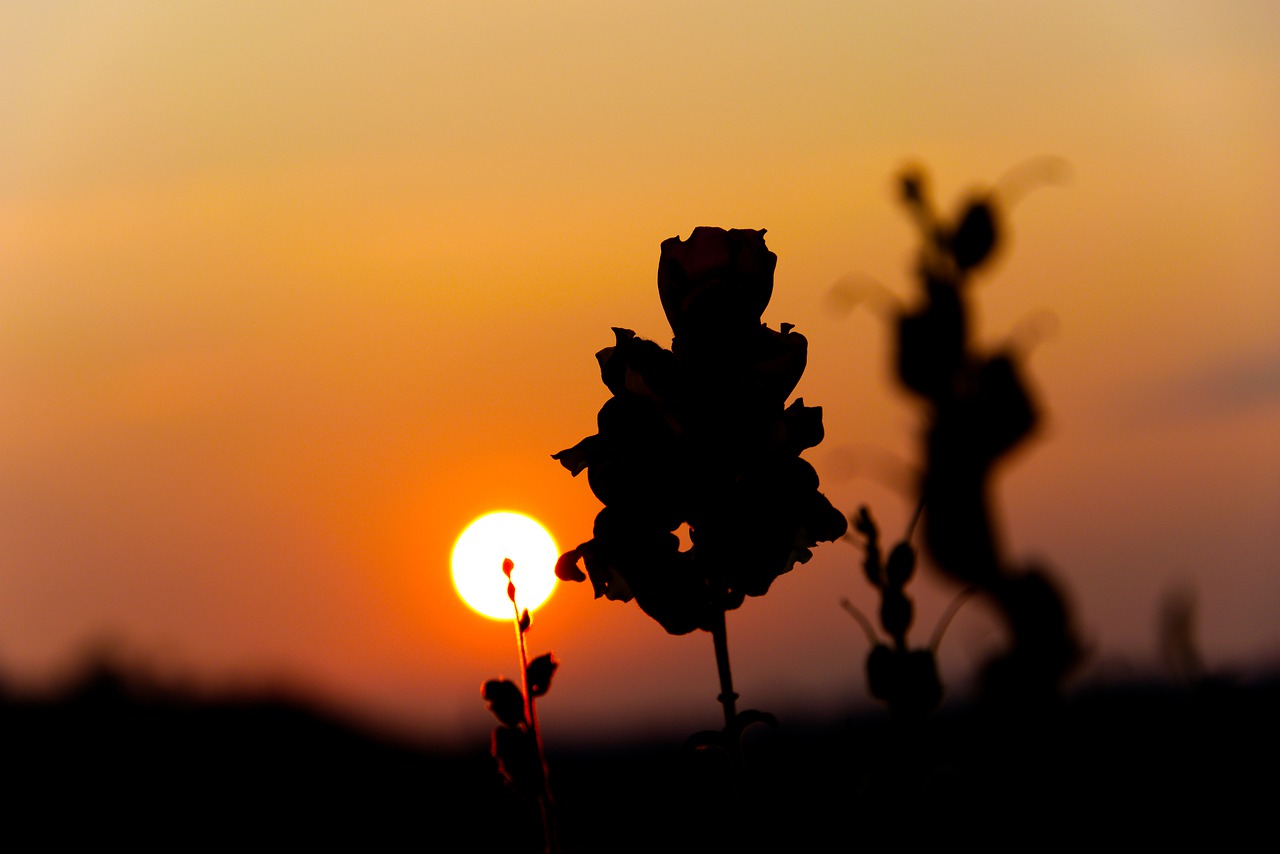 sunrise 4449115 1280