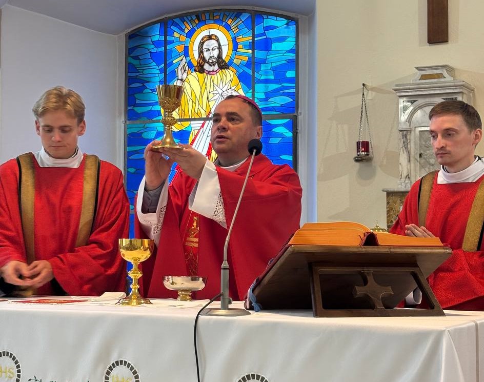 seminaria 6