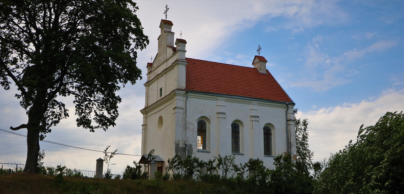Warona6